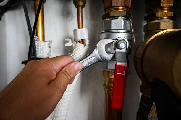 Best Plumbing Services Near Me  in Woodstock, IL